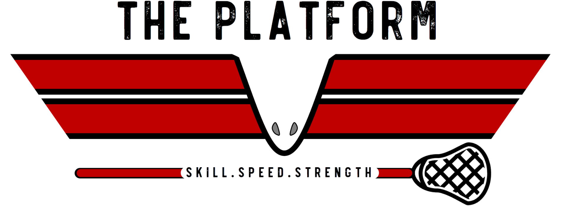 Platform Lacrosse Academy